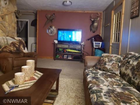 3390 42nd Avenue NW, Baudette, MN 56623