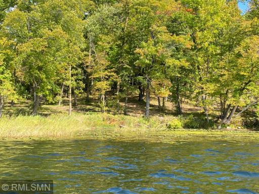 XXX Birch Forest Road SW, Nisswa, MN 56468