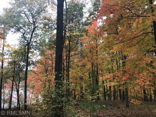 XXX Birch Forest Road SW, Nisswa, MN 56468