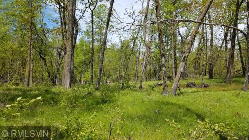 Nature never goes out of style! And you'll have plenty of it on this very private, wooded slice of heaven!