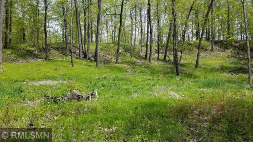 XXX Birch Forest Road SW, Nisswa, MN 56468