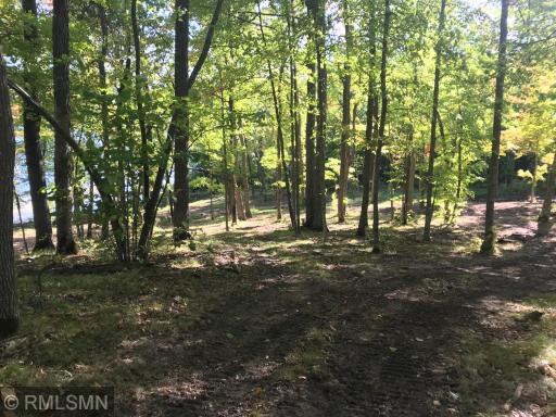 XXX Birch Forest Road SW, Nisswa, MN 56468