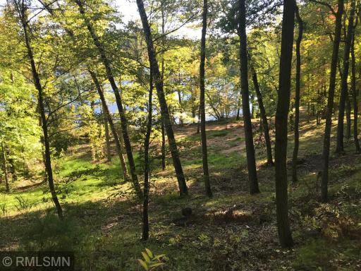 XXX Birch Forest Road SW, Nisswa, MN 56468
