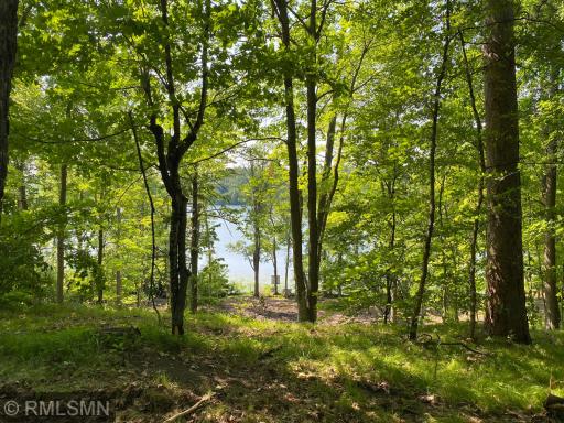 XXX Birch Forest Road SW, Nisswa, MN 56468
