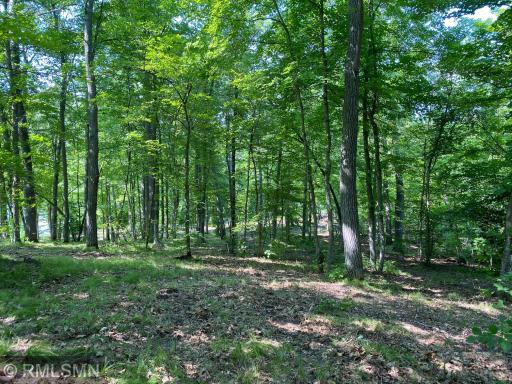 XXX Birch Forest Road SW, Nisswa, MN 56468