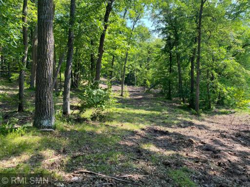 XXX Birch Forest Road SW, Nisswa, MN 56468