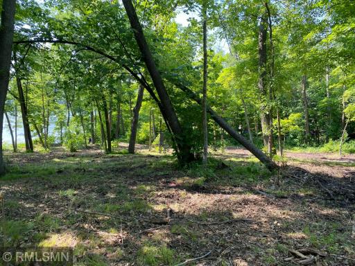XXX Birch Forest Road SW, Nisswa, MN 56468