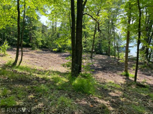 XXX Birch Forest Road SW, Nisswa, MN 56468