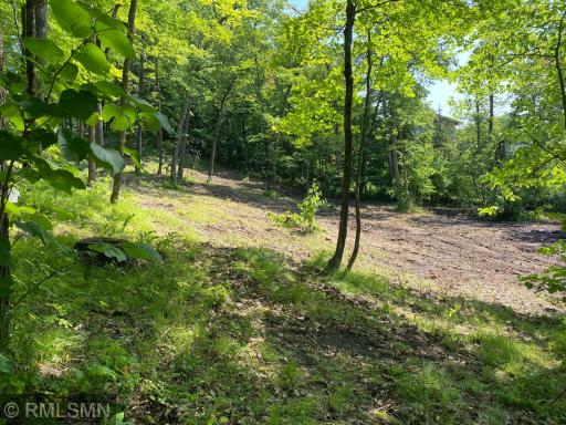 XXX Birch Forest Road SW, Nisswa, MN 56468