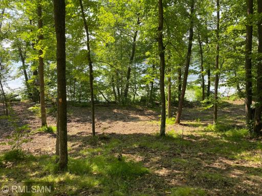 XXX Birch Forest Road SW, Nisswa, MN 56468