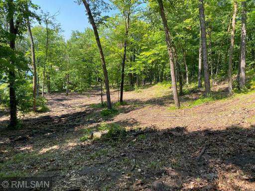 XXX Birch Forest Road SW, Nisswa, MN 56468