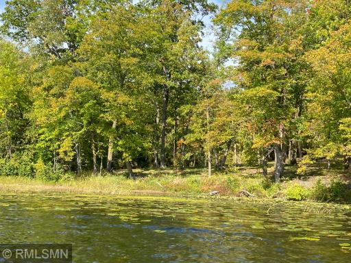 XXX Birch Forest Road SW, Nisswa, MN 56468