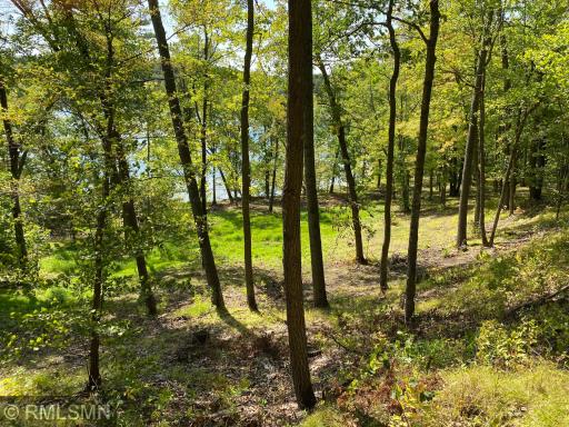 XXX Birch Forest Road SW, Nisswa, MN 56468