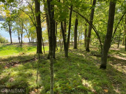 XXX Birch Forest Road SW, Nisswa, MN 56468