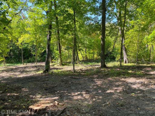 XXX Birch Forest Road SW, Nisswa, MN 56468