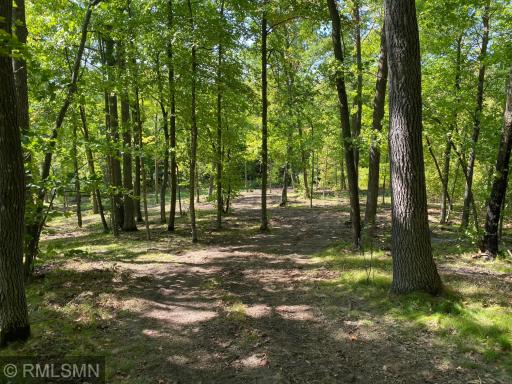 XXX Birch Forest Road SW, Nisswa, MN 56468