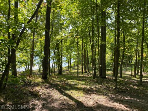 XXX Birch Forest Road SW, Nisswa, MN 56468