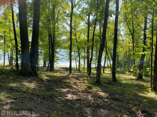 XXX Birch Forest Road SW, Nisswa, MN 56468