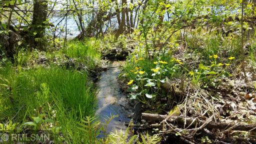 The stream tucked amongst the trees at the edge of the property provides the perfect buffer between the neighbor, as well as added visual interest.
