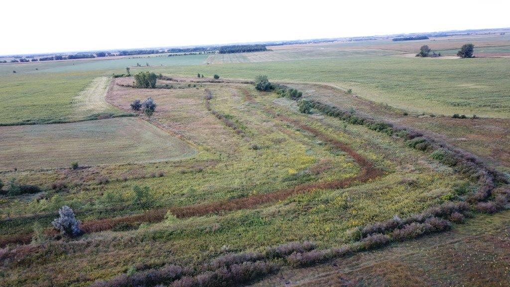 Photo for XXX 110th St. N, Canby, MN 56220 - Listing #6307024 1.jpg