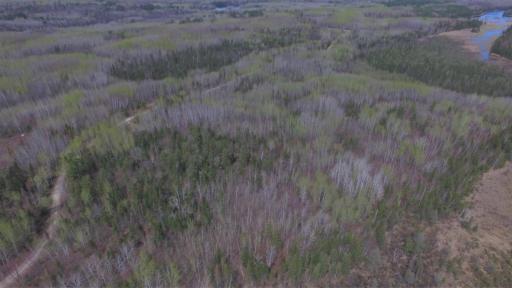xx40 Pelican River Forest Road, Orr, MN 55771