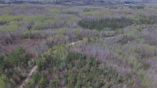 xx40 Pelican River Forest Road, Orr, MN 55771