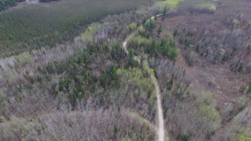 xx40 Pelican River Forest Road, Orr, MN 55771