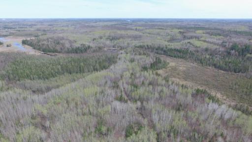 xx40 Pelican River Forest Road, Orr, MN 55771