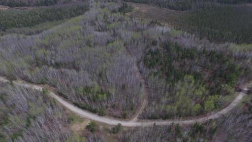 xx40 Pelican River Forest Road, Orr, MN 55771