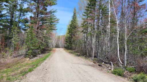 Photo for xx40 Pelican River Forest Road, Orr, MN 55771 - Listing #6198036 xx40 Pelican River Forest Road, Orr, MN 55771