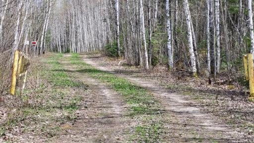 Photo for xx40 Pelican River Forest Road, Orr, MN 55771 - Listing #6198036 xx40 Pelican River Forest Road, Orr, MN 55771