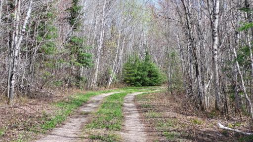 Photo for xx40 Pelican River Forest Road, Orr, MN 55771 - Listing #6198036 xx40 Pelican River Forest Road, Orr, MN 55771
