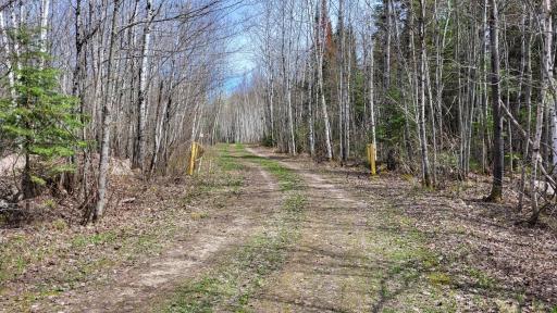 Photo for xx40 Pelican River Forest Road, Orr, MN 55771 - Listing #6198036 xx40 Pelican River Forest Road, Orr, MN 55771