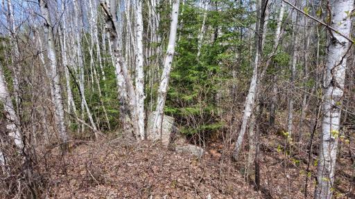 Photo for xx40 Pelican River Forest Road, Orr, MN 55771 - Listing #6198036 xx40 Pelican River Forest Road, Orr, MN 55771