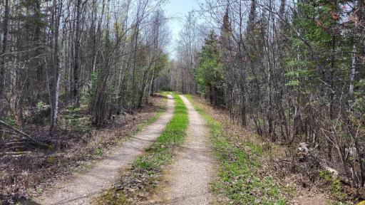 Photo for xx40 Pelican River Forest Road, Orr, MN 55771 - Listing #6198036 xx40 Pelican River Forest Road, Orr, MN 55771