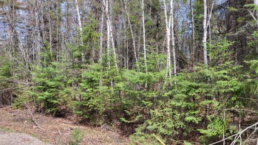 Photo for xx40 Pelican River Forest Road, Orr, MN 55771 - Listing #6198036 xx40 Pelican River Forest Road, Orr, MN 55771