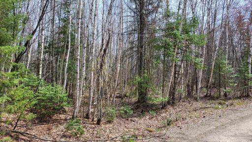 Photo for xx40 Pelican River Forest Road, Orr, MN 55771 - Listing #6198036 xx40 Pelican River Forest Road, Orr, MN 55771