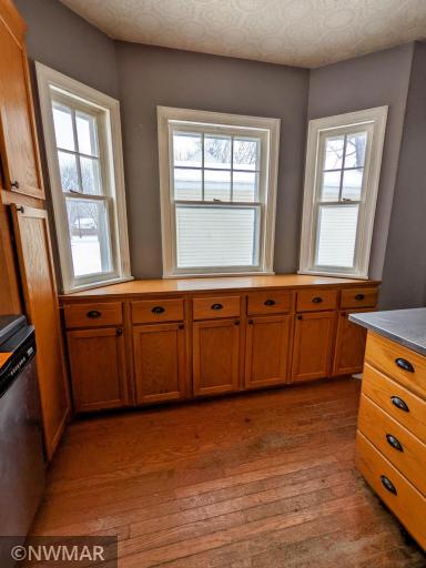 Photo for 245 Merriam Avenue N, Thief River Falls, MN 56701 - Listing #6314038 245 Merriam Avenue N, Thief River Falls, MN 56701