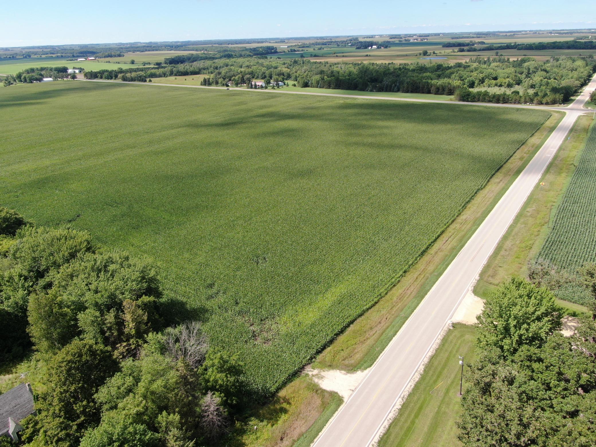 DJI_0603.JPG
