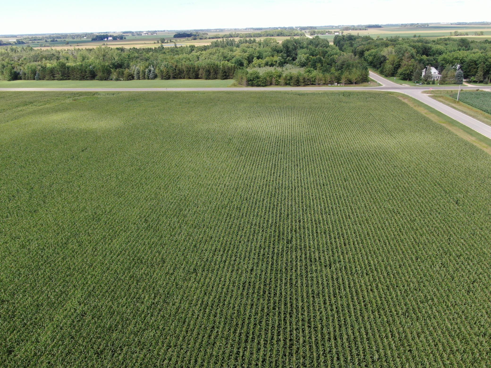 DJI_0607.JPG