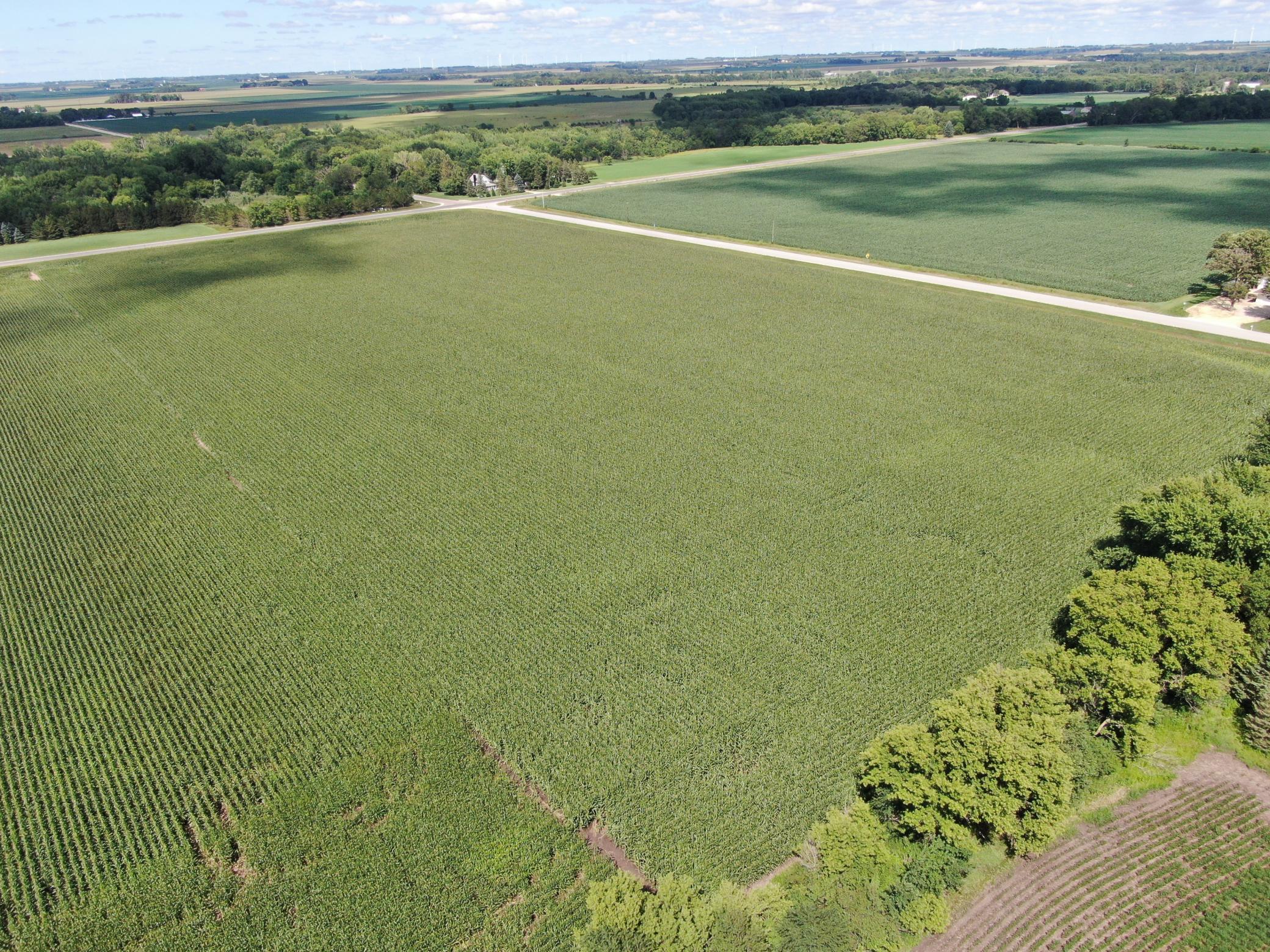 DJI_0601.JPG