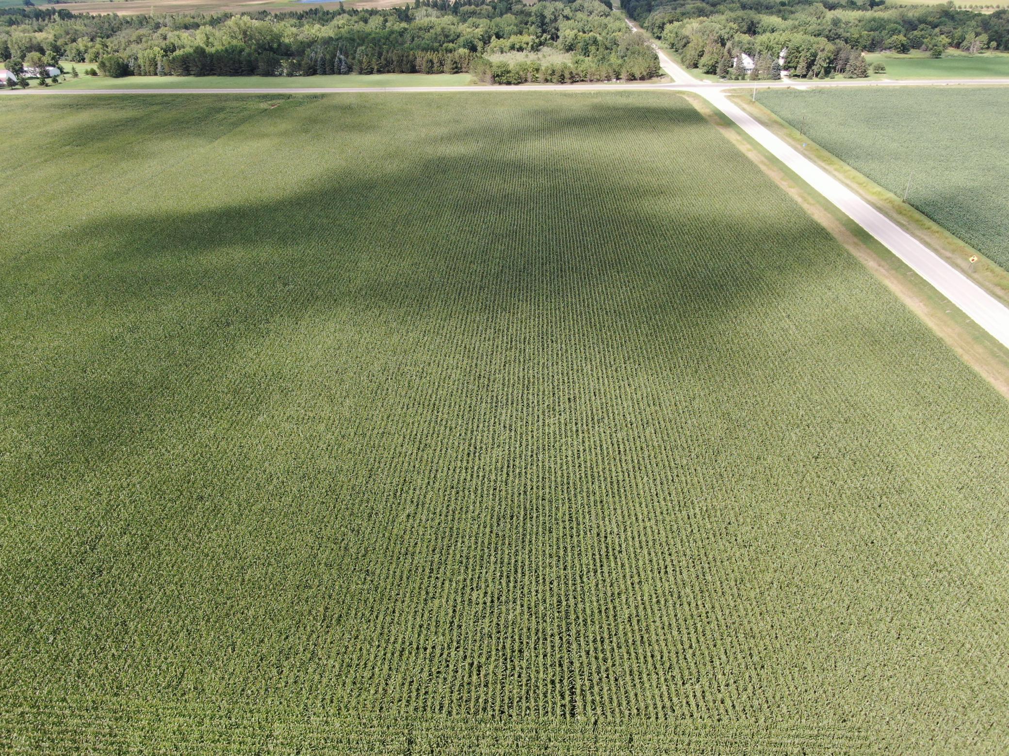 DJI_0604.JPG