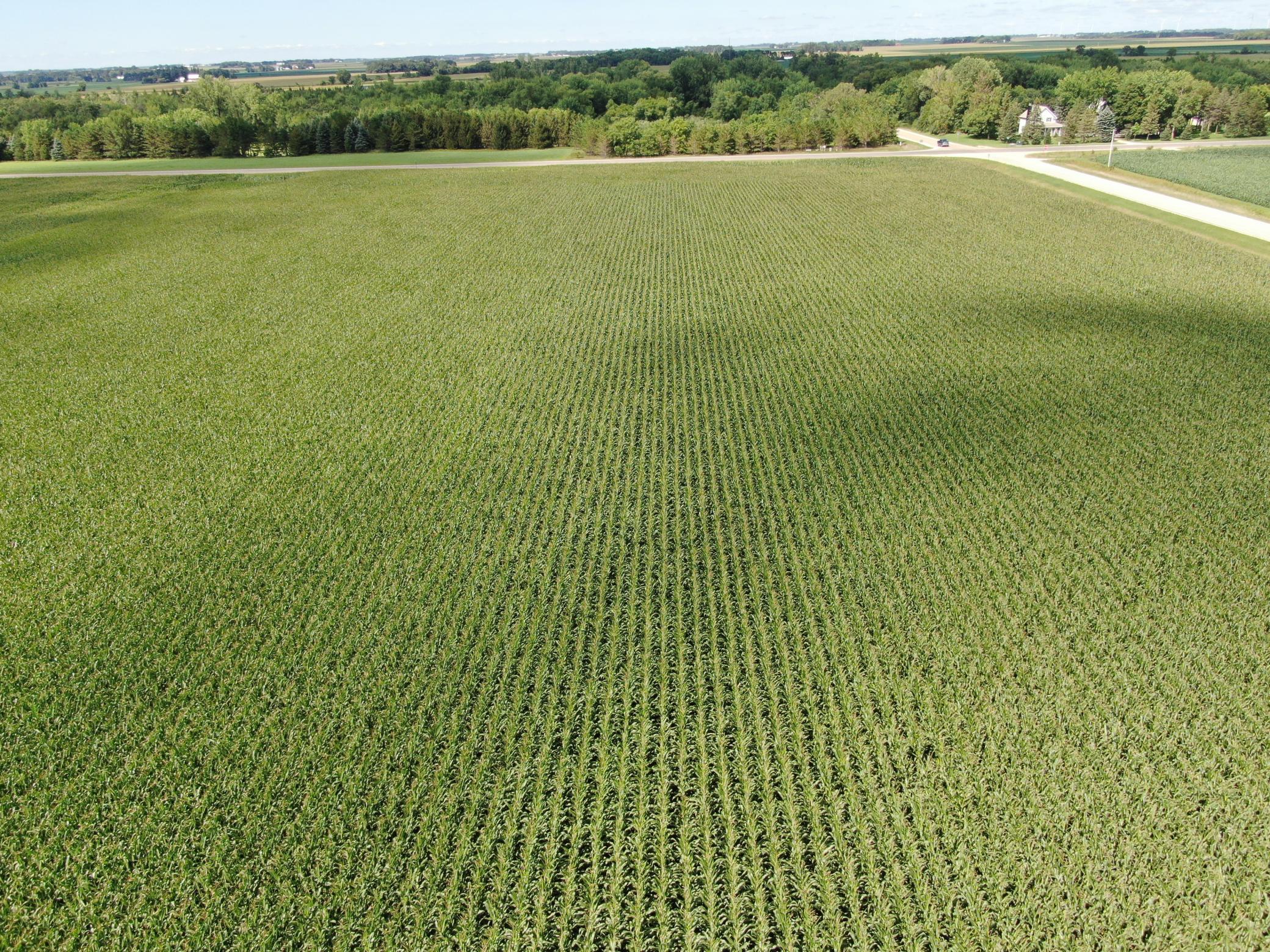 DJI_0605.JPG