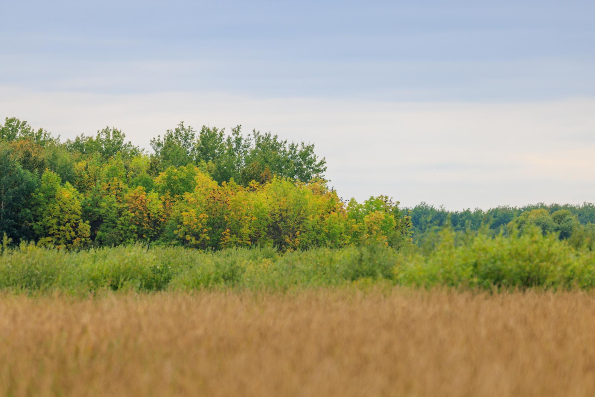 Photo for 16857 County Road 102, Strathcona, MN 56759 - Listing #6427051 16857 County Road 102, Strathcona, MN 56759