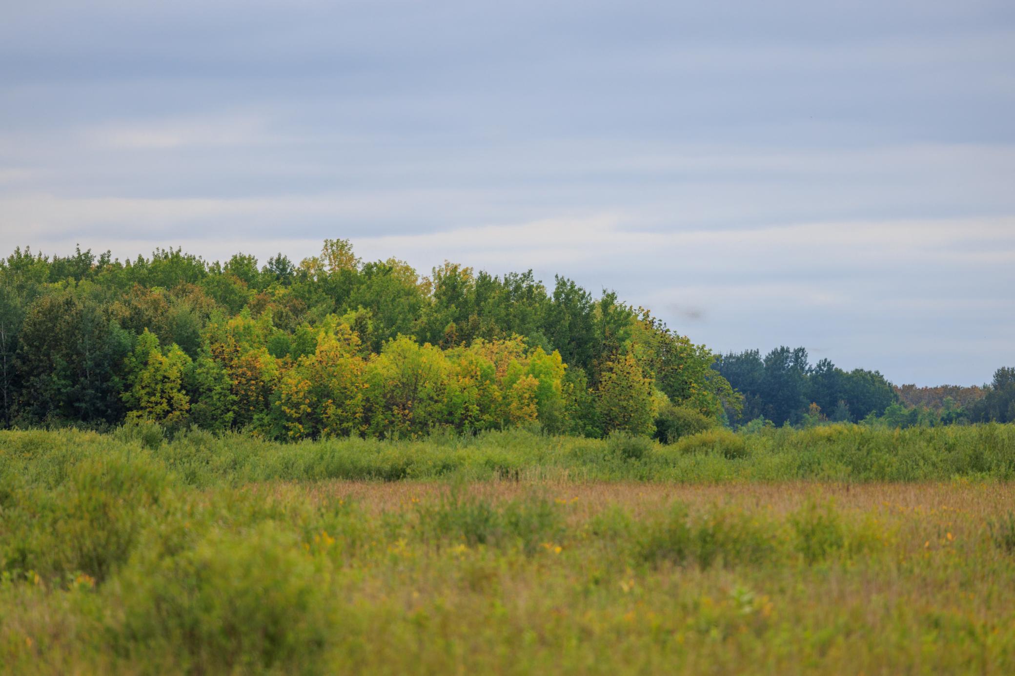 Photo for 16857 County Road 102, Strathcona, MN 56759 - Listing #6427051 16857 County Road 102, Strathcona, MN 56759