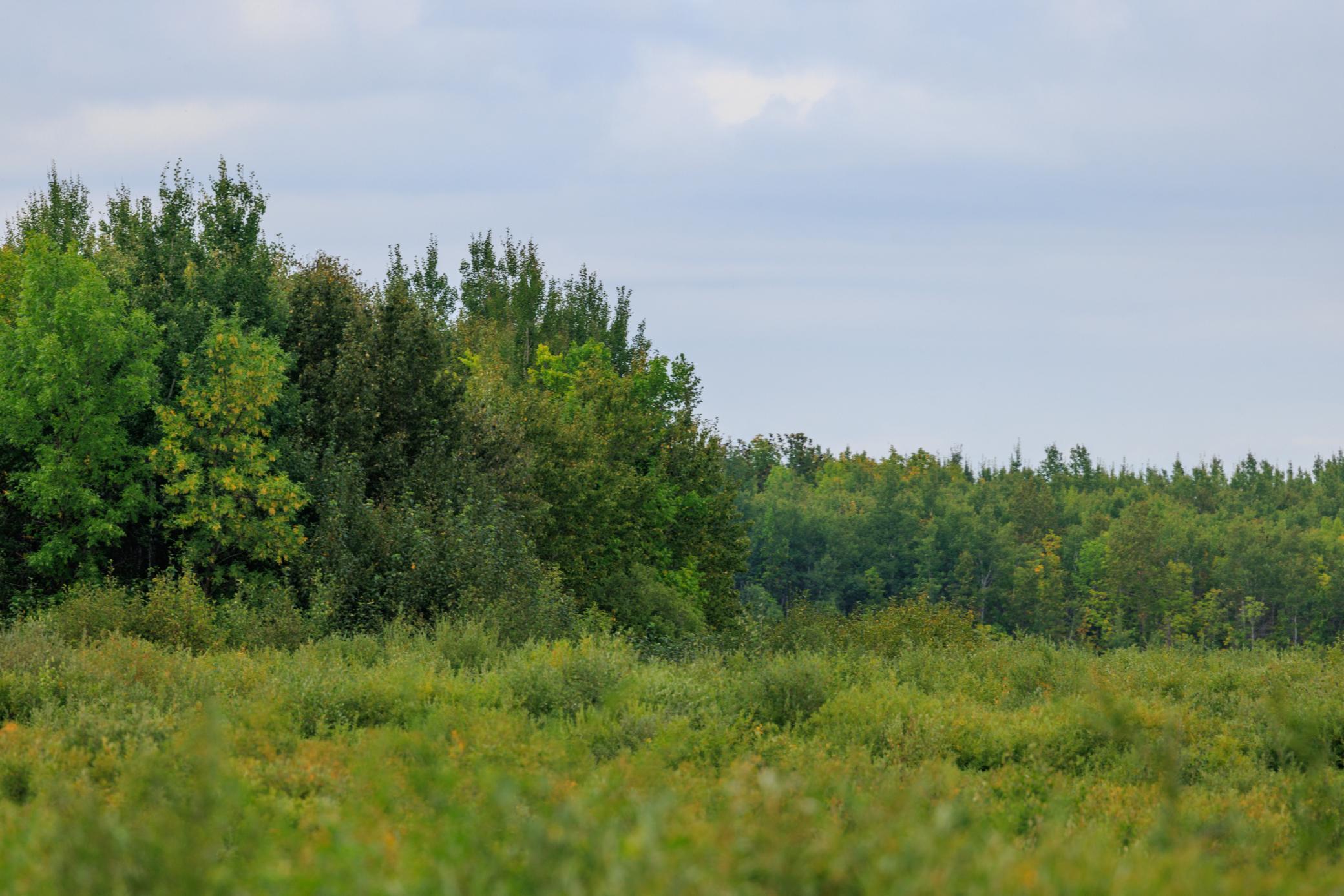 Photo for 16857 County Road 102, Strathcona, MN 56759 - Listing #6427051 16857 County Road 102, Strathcona, MN 56759
