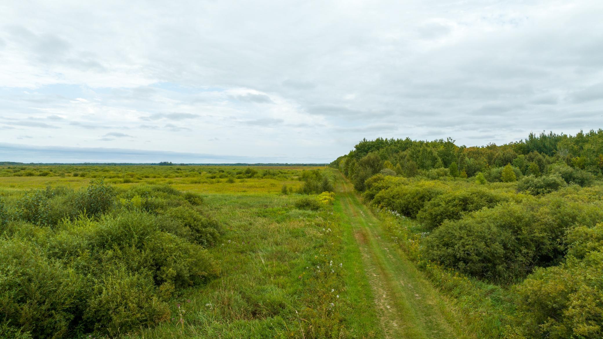 Photo for 16857 County Road 102, Strathcona, MN 56759 - Listing #6427051 16857 County Road 102, Strathcona, MN 56759
