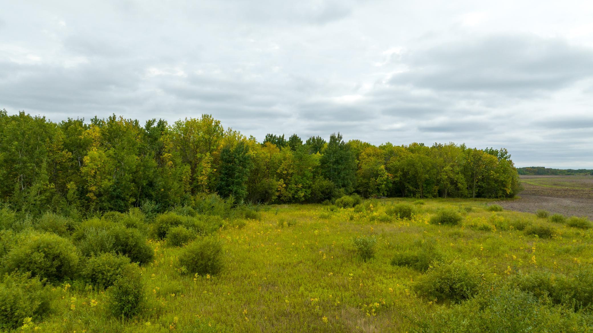 Photo for 16857 County Road 102, Strathcona, MN 56759 - Listing #6427051 16857 County Road 102, Strathcona, MN 56759