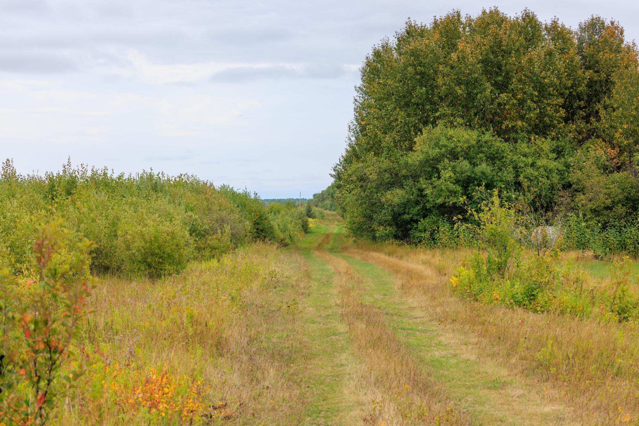 Photo for 16857 County Road 102, Strathcona, MN 56759 - Listing #6427051 16857 County Road 102, Strathcona, MN 56759