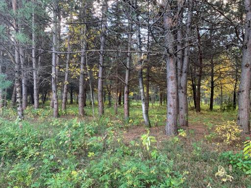 LOT7 BLK2 Owl Avenue, Aitkin, MN 56431